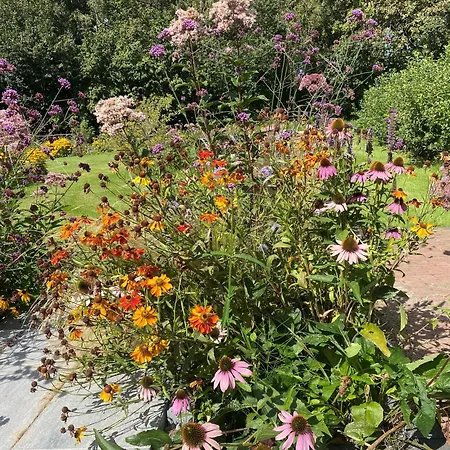 99 Lifestyle 招待所 3*