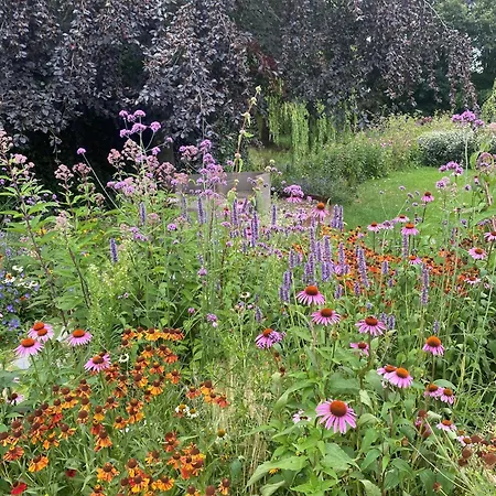 99 Lifestyle 招待所 Zwaag